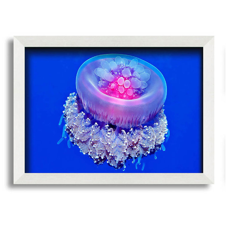 Highland Dunes Neon Jellyfish Framed Print Wall Art Wayfair.co.uk
